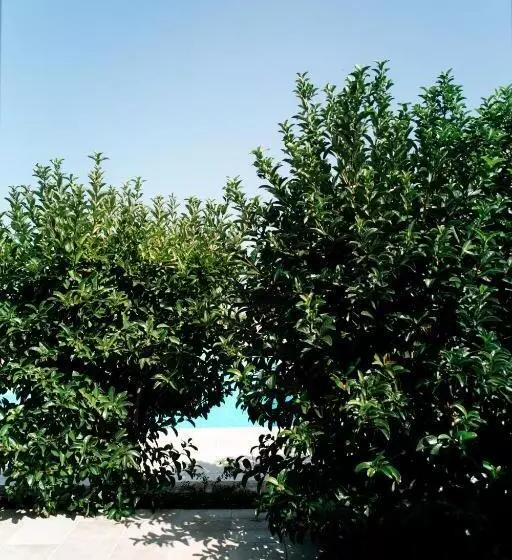 テラス付スタンダードルーム, San Marco Antico Relais   B&b