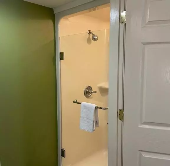 キングサイズベッドのスタンダードルーム, Sleep Inn Raleigh Durham Airport