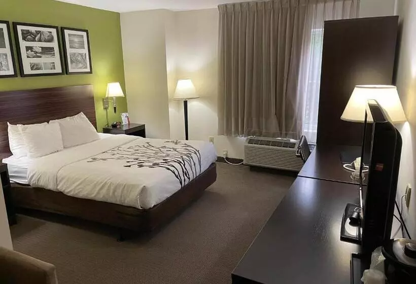 身障者適用スタンダードルーム, Sleep Inn Raleigh Durham Airport