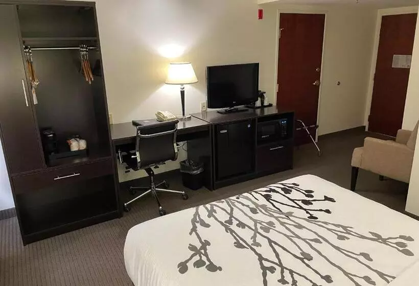身障者適用スタンダードルーム, Sleep Inn Raleigh Durham Airport