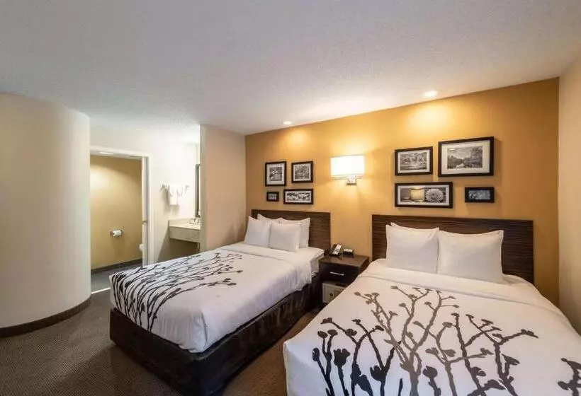 ２ダブルベッドのスタンダードルーム, Sleep Inn & Suites Green Bay South