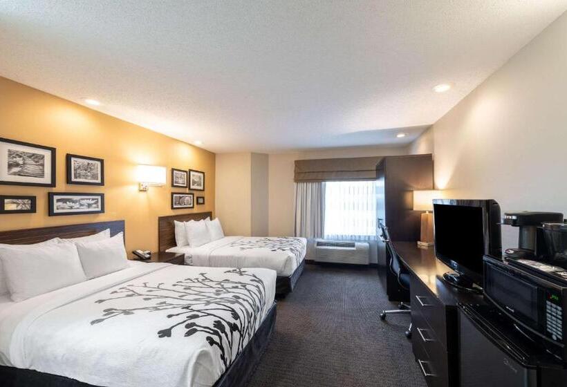 غرفه قياسيه سريرين مزدوجين, Sleep Inn & Suites Green Bay South
