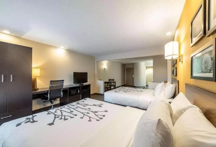 スイート, Sleep Inn & Suites Green Bay South