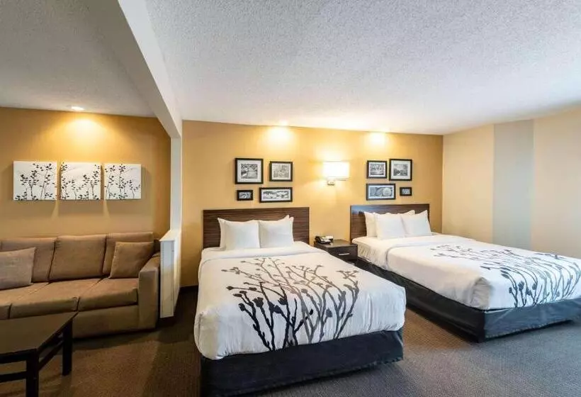 スイート, Sleep Inn & Suites Green Bay South