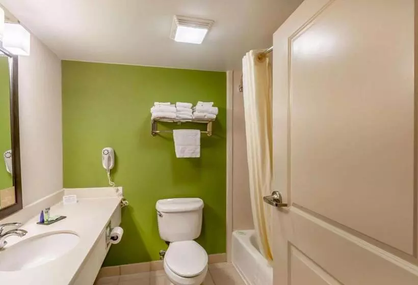 Standard-huone King-vuode, Sleep Inn & Suites Harrisonburg Near University