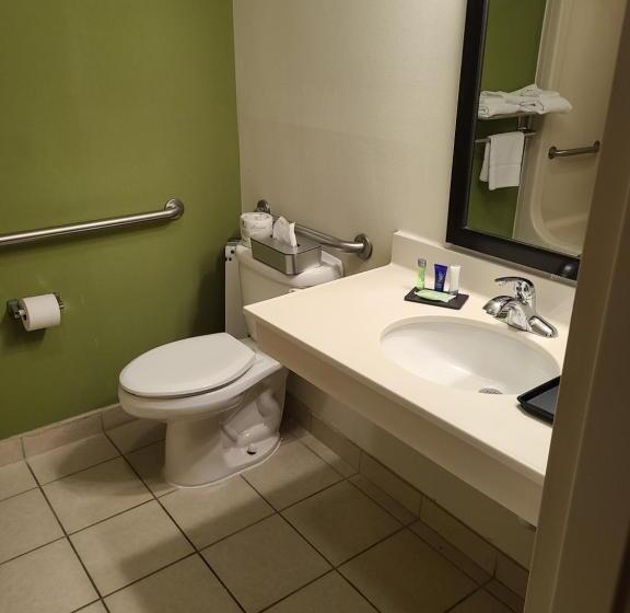 身障者適用キングサイズベッドルーム, Sleep Inn & Suites Harrisonburg Near University