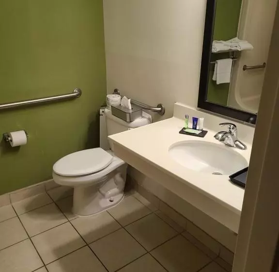 Standard-invahuone King-vuode, Sleep Inn & Suites Harrisonburg Near University
