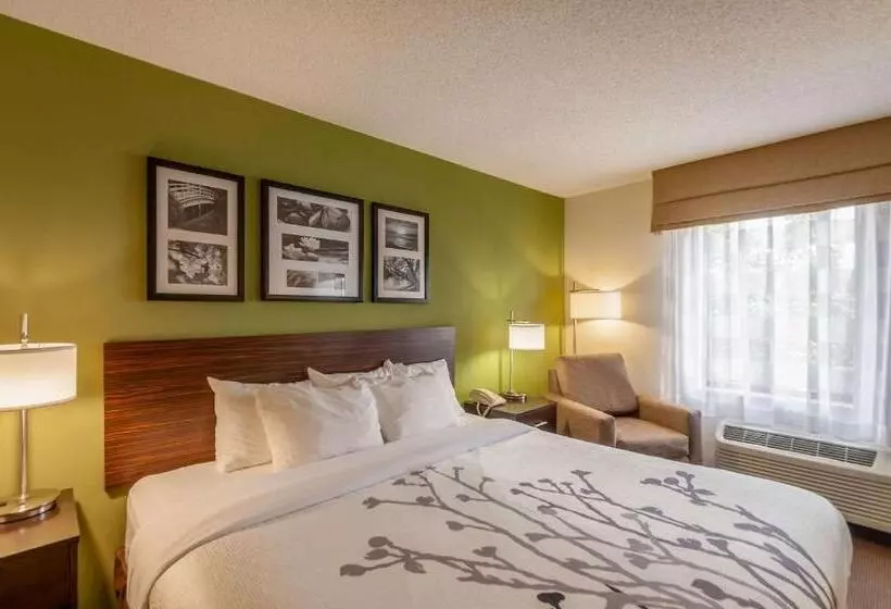 Standard-invahuone King-vuode, Sleep Inn & Suites Harrisonburg Near University