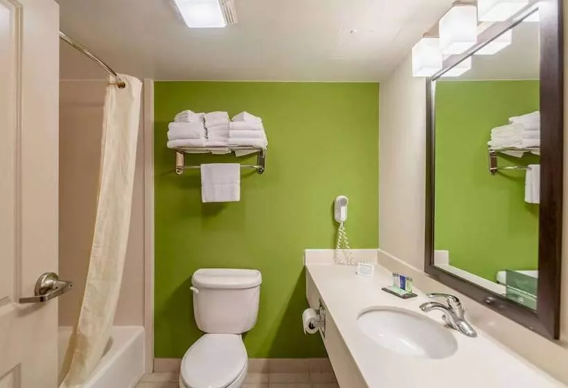 Standard-huone 2 Parivuodetta, Sleep Inn & Suites Harrisonburg Near University