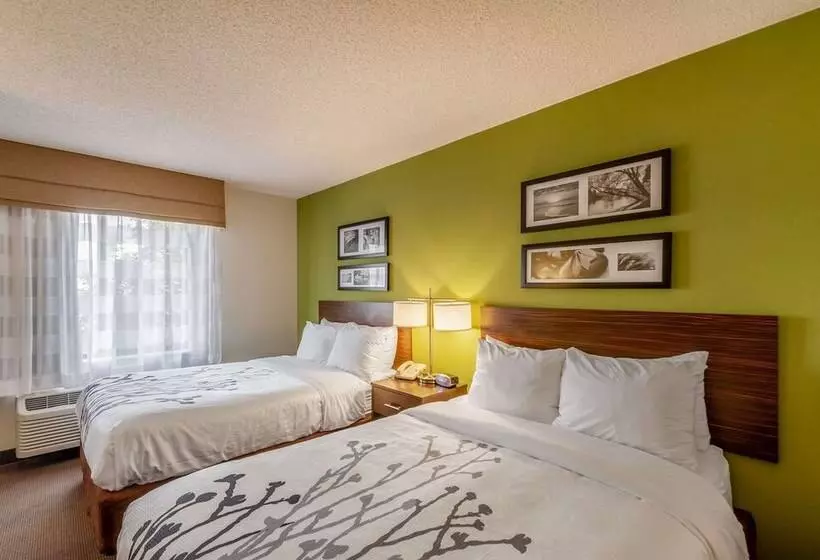 Standard-huone 2 Parivuodetta, Sleep Inn & Suites Harrisonburg Near University
