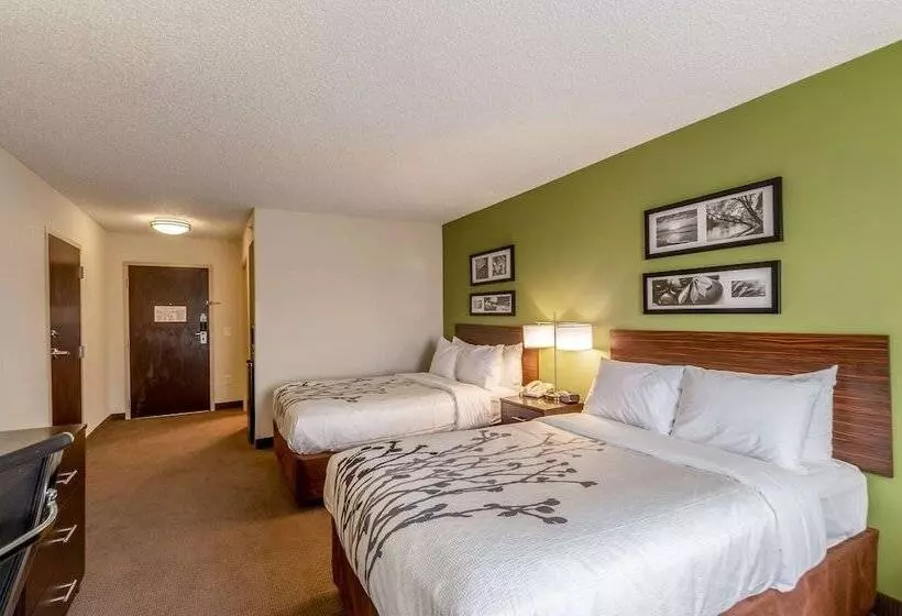 Standard-huone 2 Parivuodetta, Sleep Inn & Suites Harrisonburg Near University