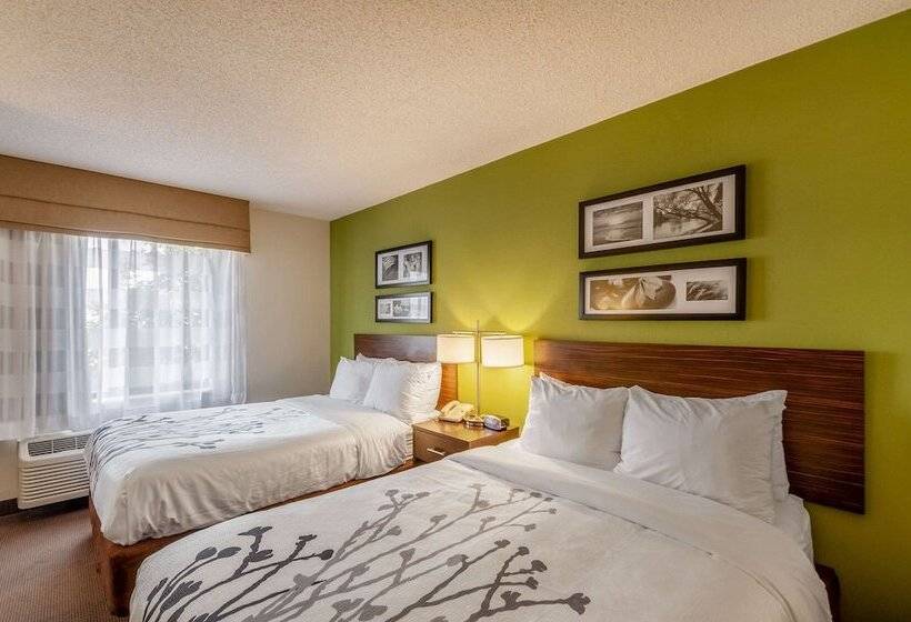 Номер Стандарт 2 Двуспальные Кровати, Sleep Inn & Suites Harrisonburg Near University