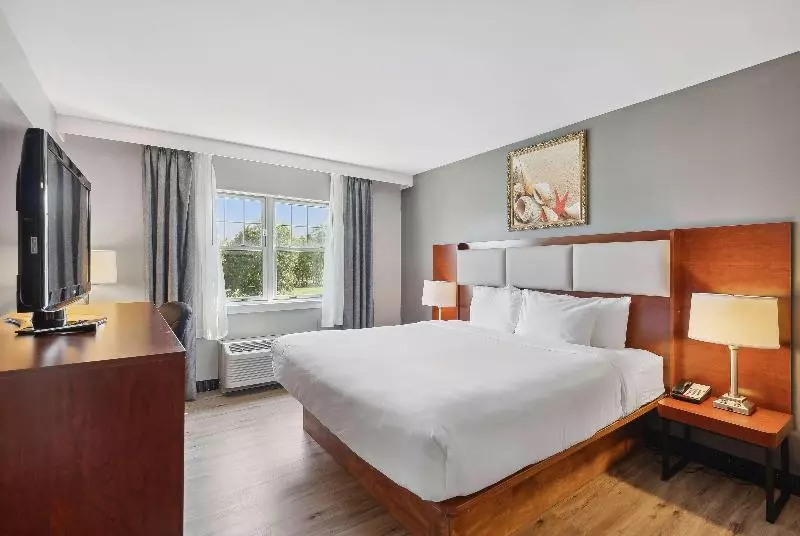 Standard-huone King-vuode, Sleep Inn & Suites Harrisonburg Near University