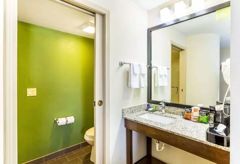 スイート, Sleep Inn & Suites Kingsport Tricities Airport