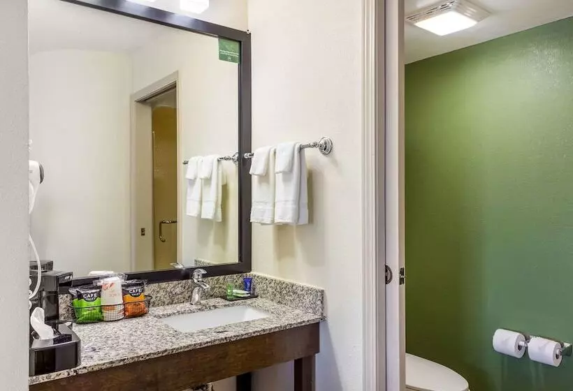 スイート, Sleep Inn & Suites Kingsport Tricities Airport