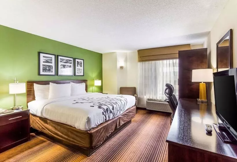 スイート, Sleep Inn & Suites Kingsport Tricities Airport