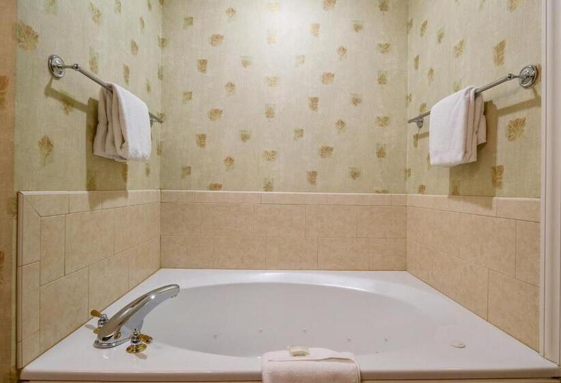 اتاق لوکس با تخت بزرگ, Stoweflake Mountain Resort & Spa