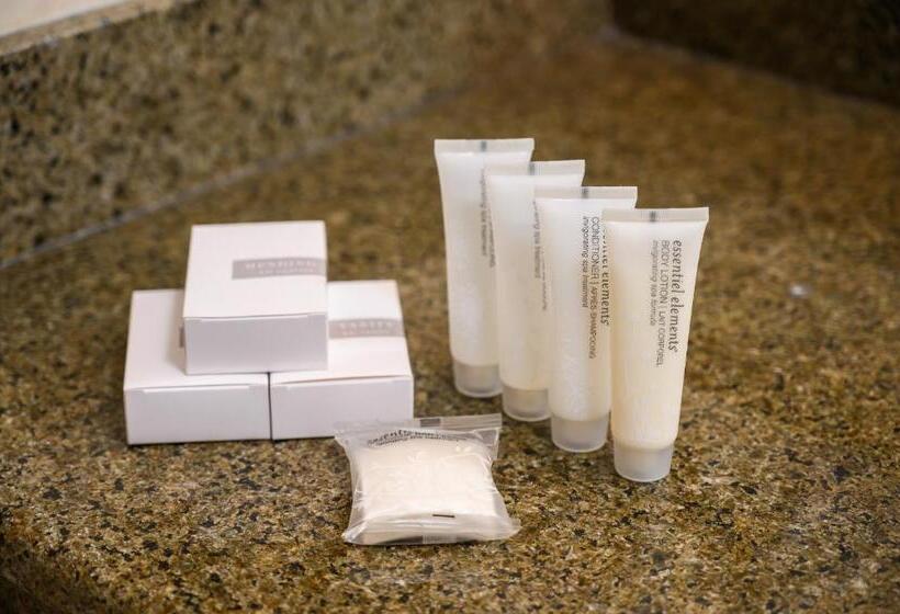 خانه 3 خوابه, Stoweflake Mountain Resort & Spa