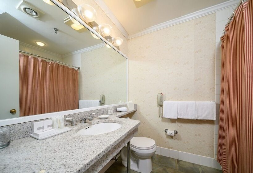 اتاق لوکس, Stoweflake Mountain Resort & Spa