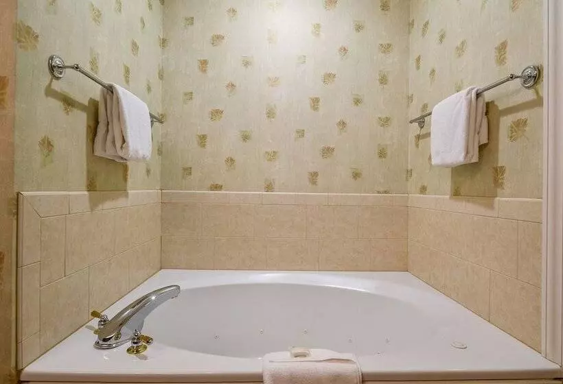 プレミアムルーム, Stoweflake Mountain Resort & Spa
