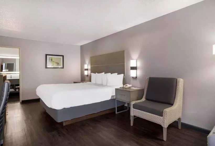 Standard Room King Size Bed