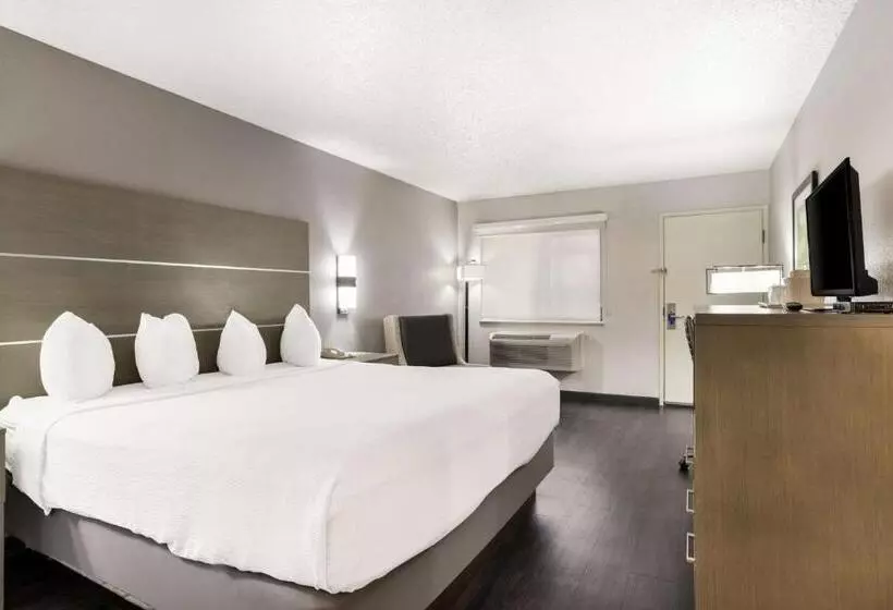 Standard Room King Bed Adapted for people with reduced mobility