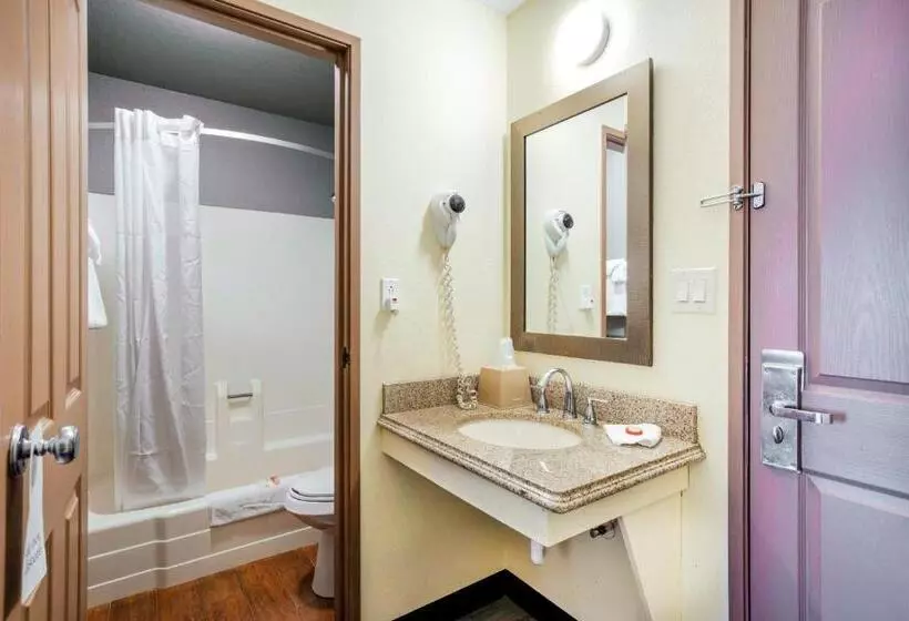 ２ダブルベッドのスタンダードルーム, OYO Hotel Castle Rock CO Downtown