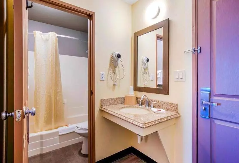 キングサイズベッドのスタンダードルーム, OYO Hotel Castle Rock CO Downtown