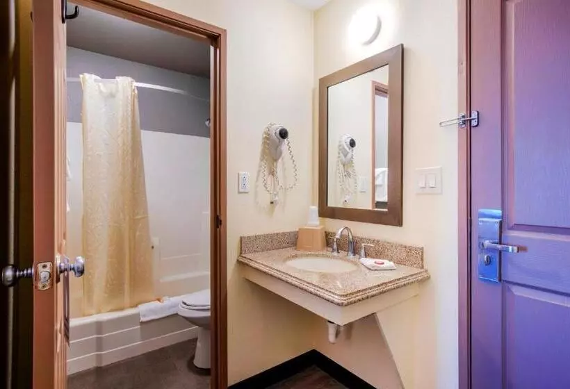 身障者適用スタンダードルーム, OYO Hotel Castle Rock CO Downtown