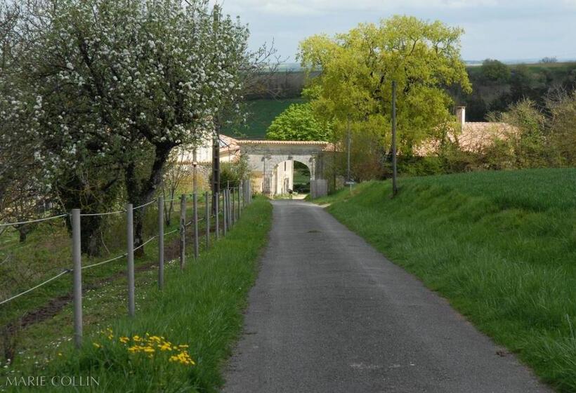 低层单卧公寓, Domaine De Chantemerle B Nb