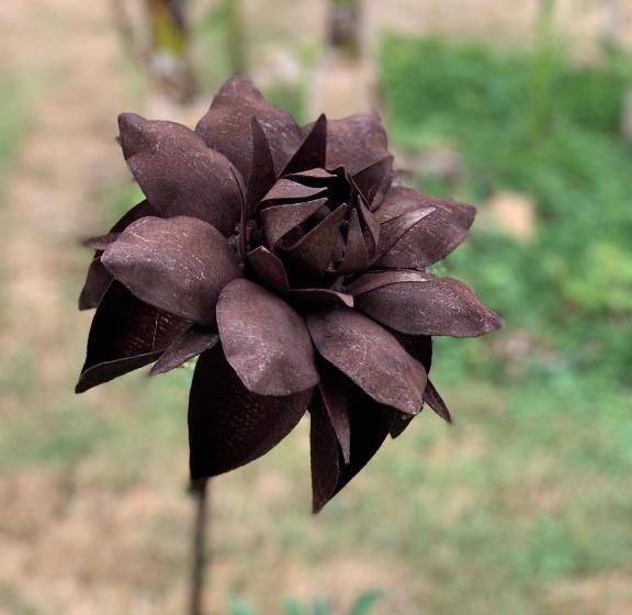 Номер Deluxe, Maison D Hôtes La Chabanaise   Marais Poitevin