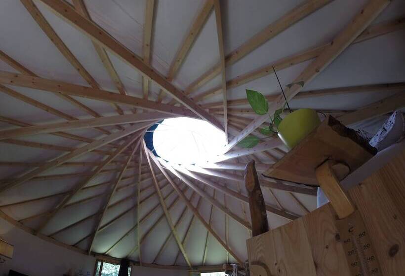 小室, Foxy Camp Insolite