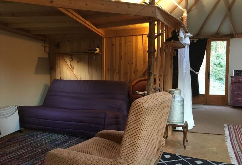 小室, Foxy Camp Insolite