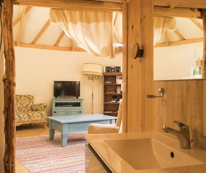 小室, Foxy Camp Insolite