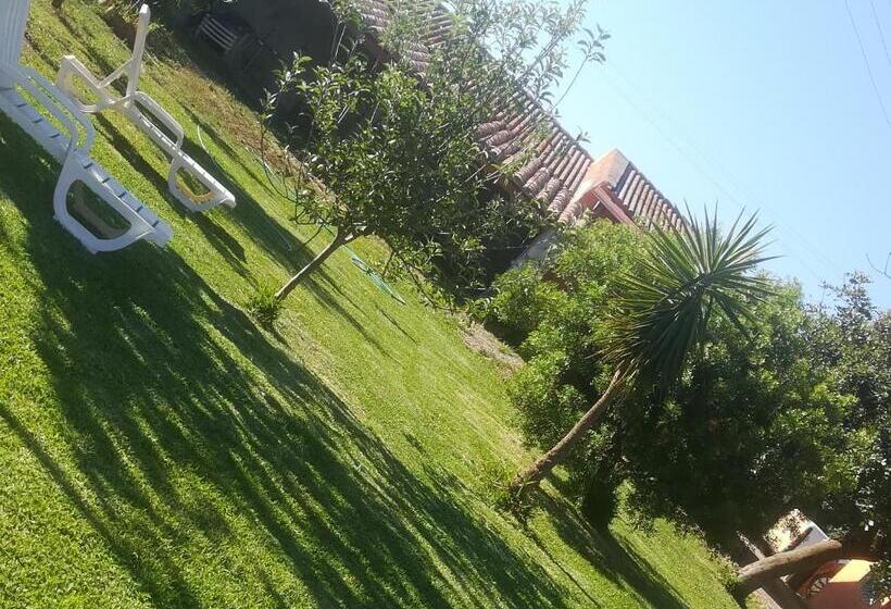 غرفة ديلوكس, Is Cuccus