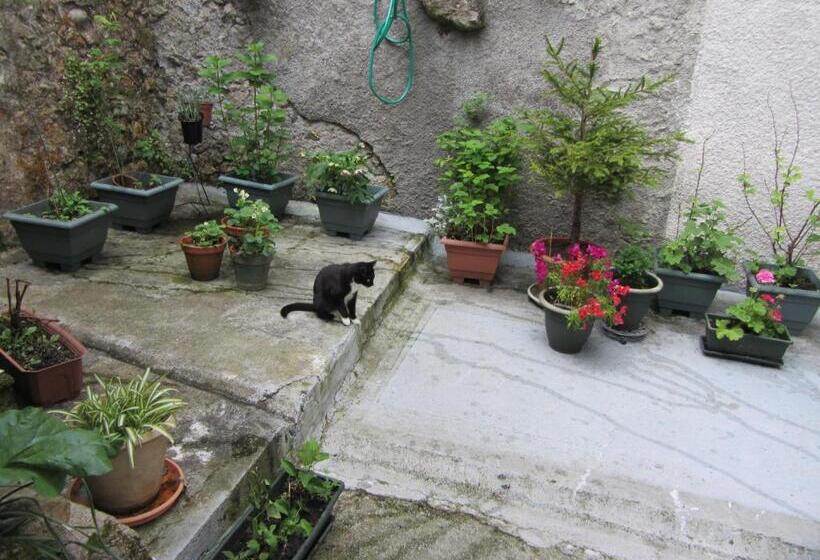 غرفة قياسية, La Maison De Natasha