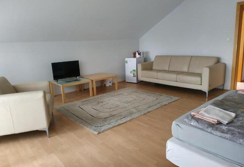 テラス付き１ベッドルームアパートメント, Apartmány Puerto