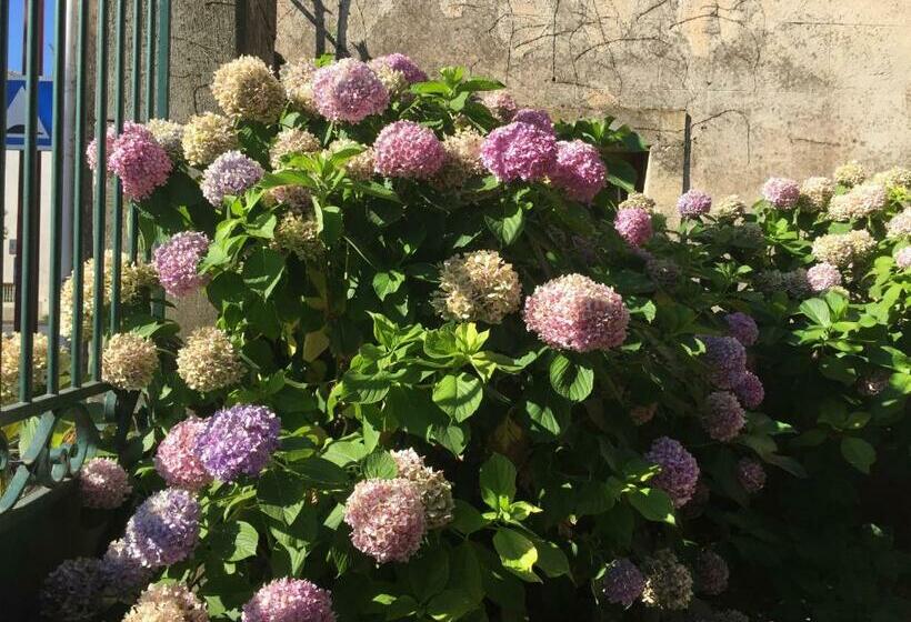 غرفة قياسية, Domaine De Brousson