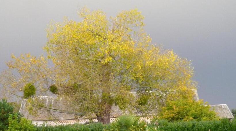 Дом 1 Спальня, Le Manoir De La Rivière