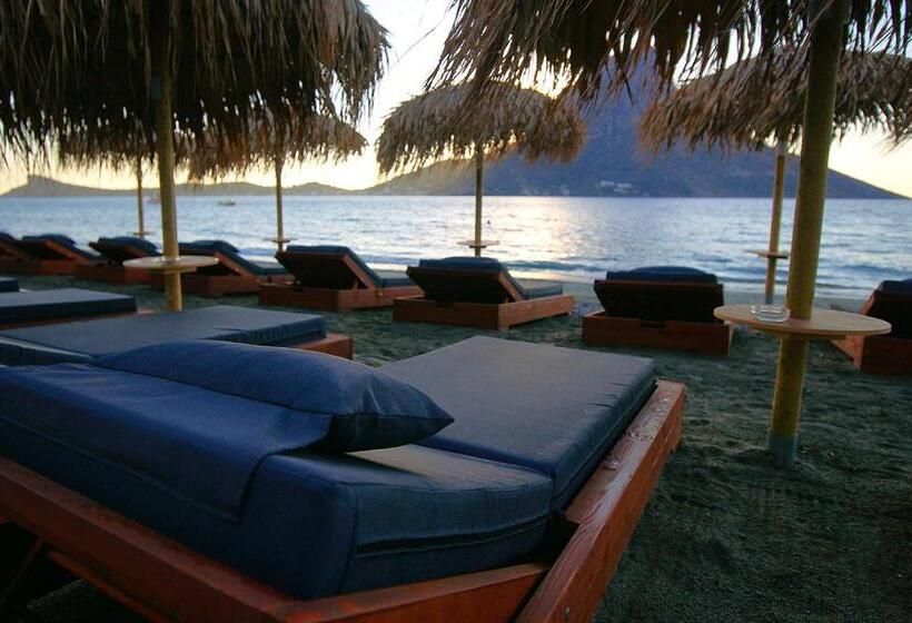 Номер Стандарт с Террасой, La Playa Boutique Apartments