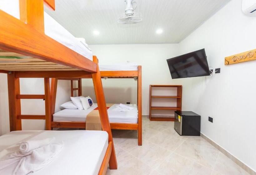 Chambre Familiale, Buddha Mystic by Del Toro