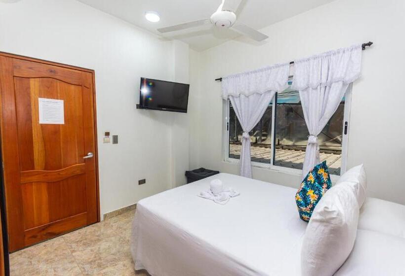 豪华房间, Buddha Mystic by Del Toro