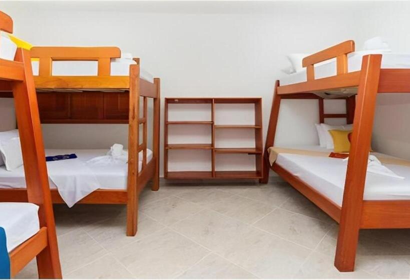 家庭间, Buddha Mystic by Del Toro