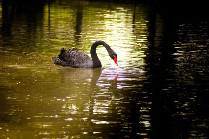Четырехместный Номер Deluxe, Villa Pastorelli