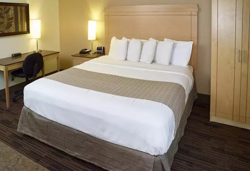 身障者適用スタンダードルーム, Livinn Hotel Minneapolis South / Burnsville