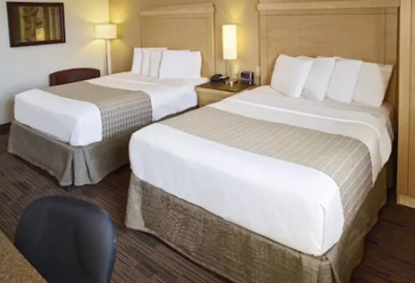 プレミアムルーム, Livinn Hotel Minneapolis South / Burnsville