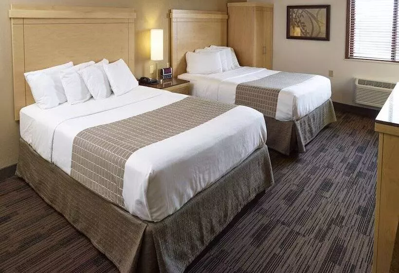 身障者適用スタンダードルーム, Livinn Hotel Minneapolis South / Burnsville