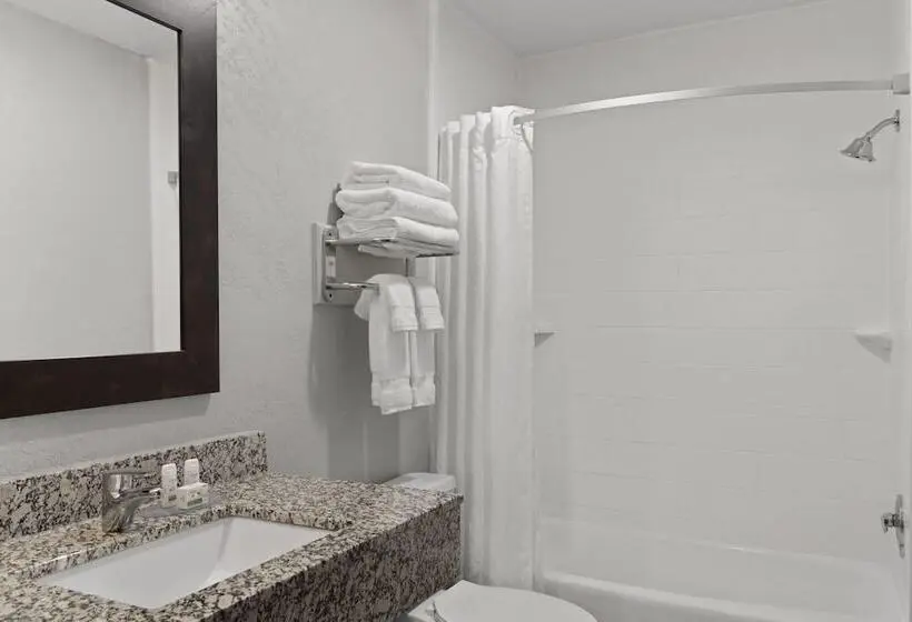 プレミアムルーム, Ramada By Wyndham Cedar Rapids South