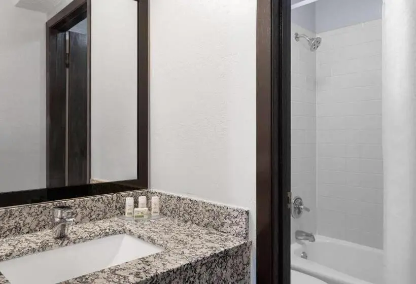スタンダードルーム, Ramada By Wyndham Cedar Rapids South
