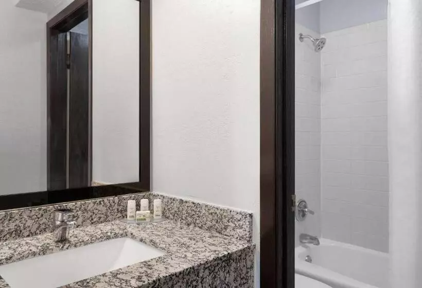 Sviitti King-vuode, Ramada By Wyndham Cedar Rapids South